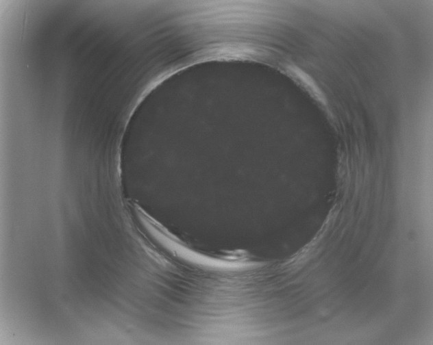 X0000071901226200607212008