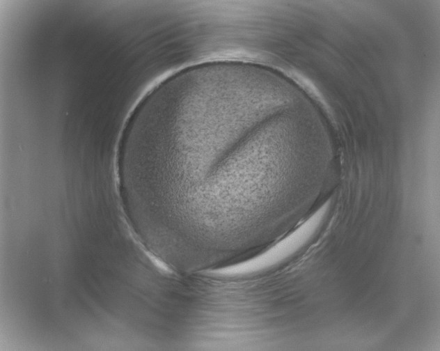 X0000071901230200607212008