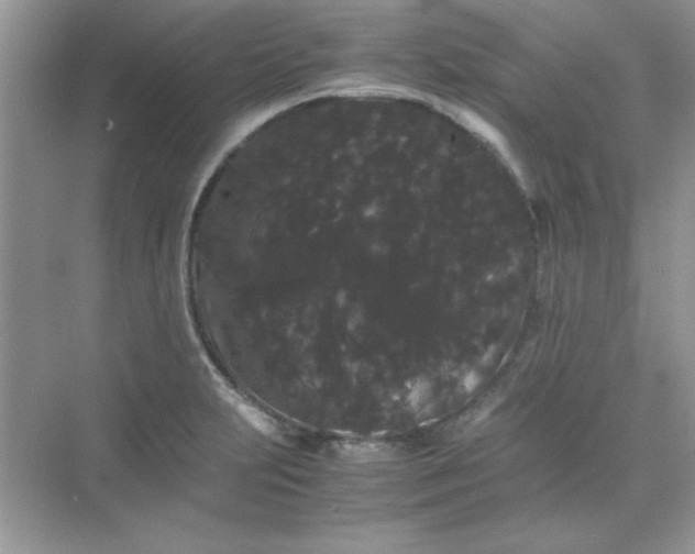 X0000071901231200607212008