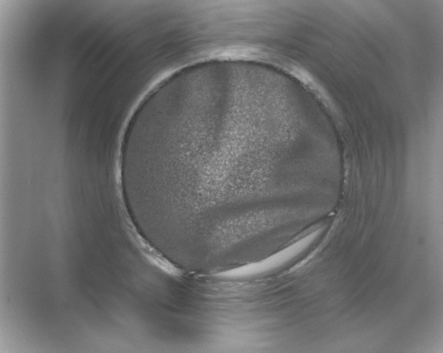 X0000071901232200607212008