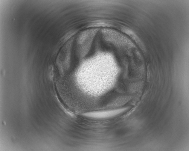 X0000071901233200607212008