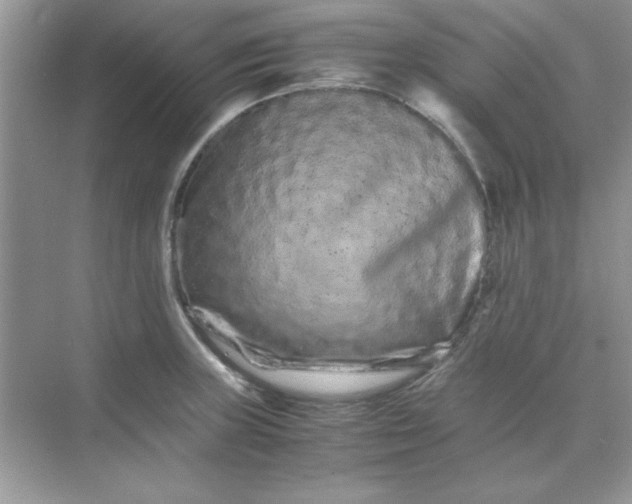 X0000071901235200607212008