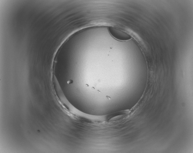 X0000071901236200607212008