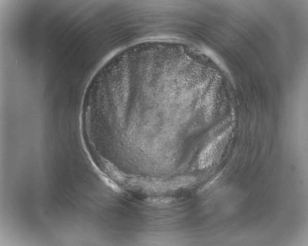 X0000071901237200607212008