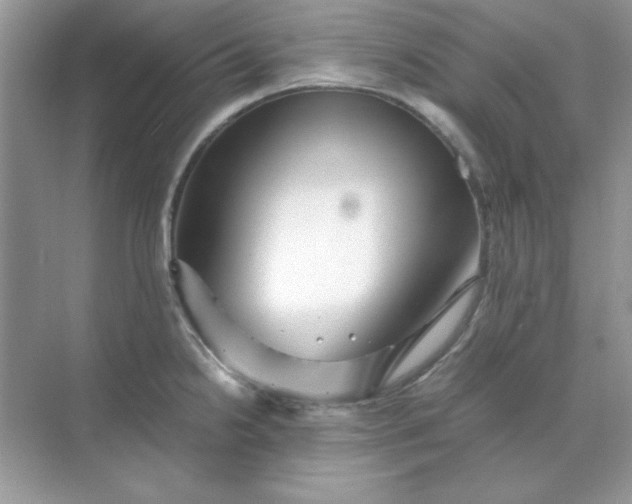 X0000071901238200607212008