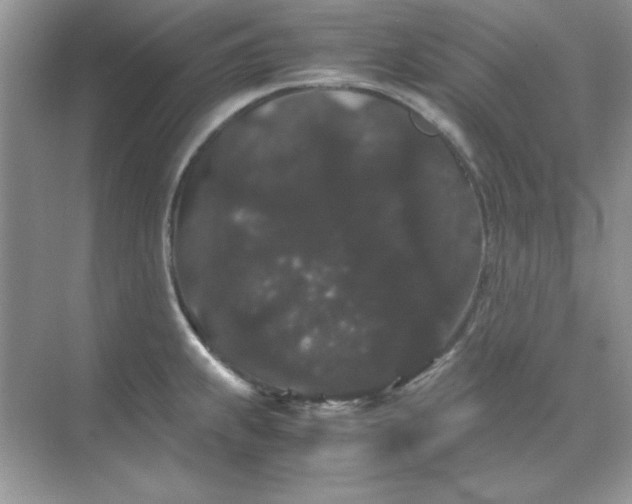 X0000071901239200607212008