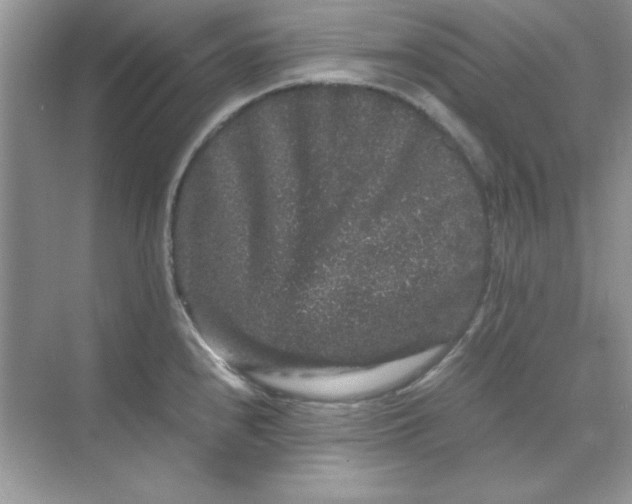 X0000071901240200607212008