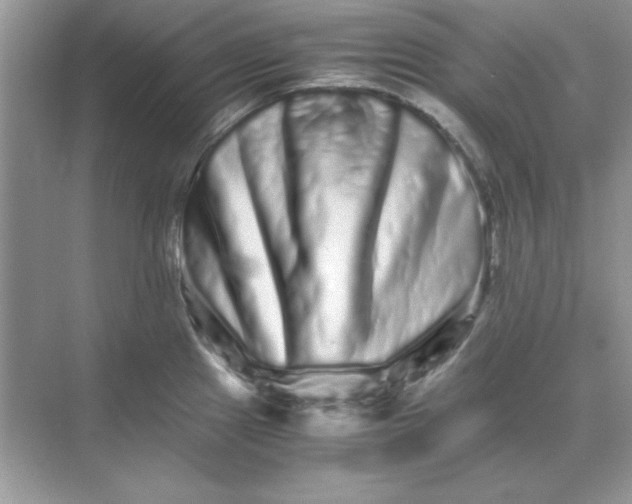 X0000071901241200607212008