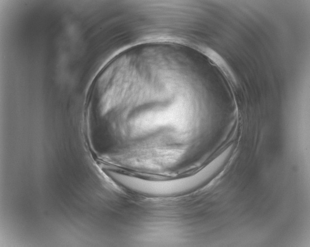 X0000071901244200607212008