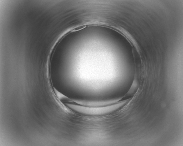 X0000071901246200607212008