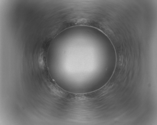 X0000071901250200607212007