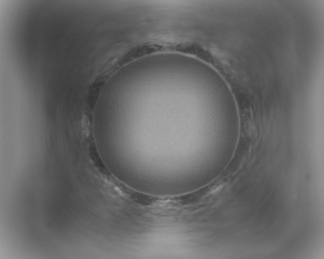 X0000071901253200607212007