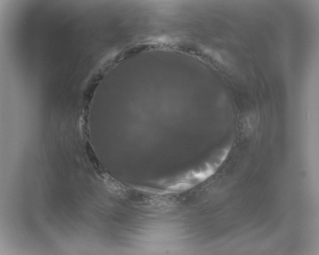 X0000071901254200607212007