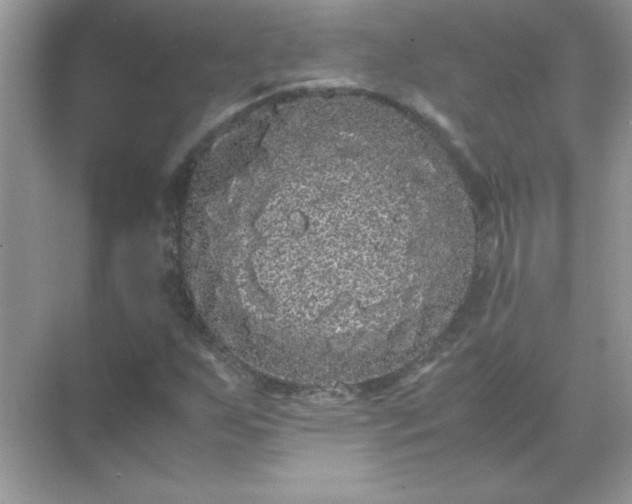 X0000071901255200607212007