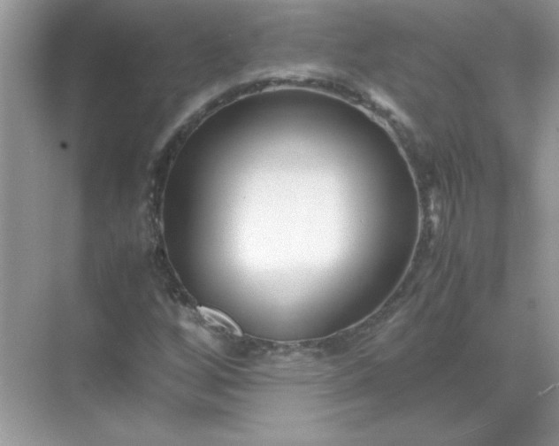 X0000071901256200607212007