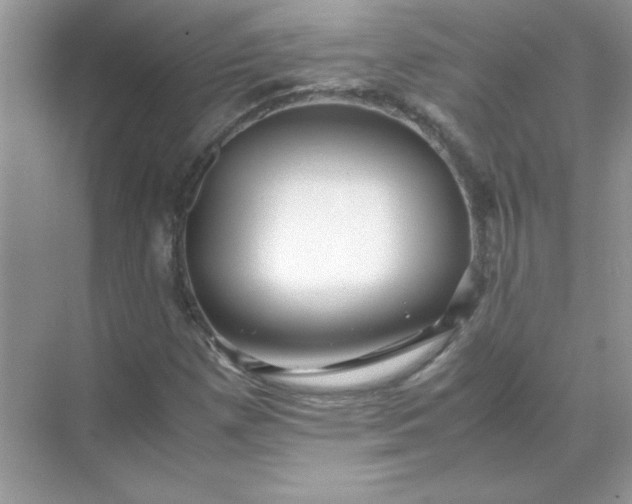 X0000071901257200607212007