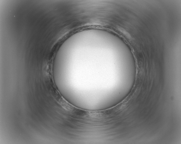 X0000071901258200607212007