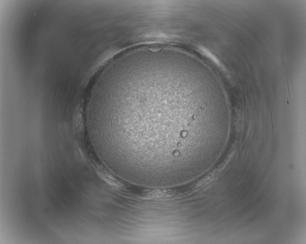 X0000071901259200607212007