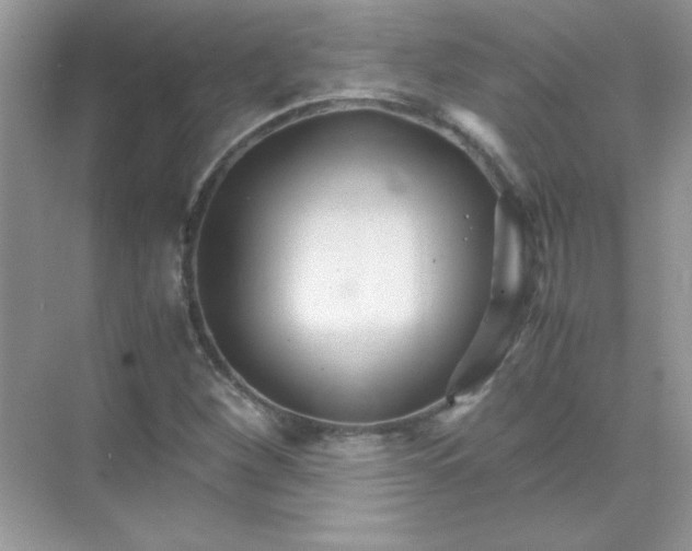 X0000071901260200607212007