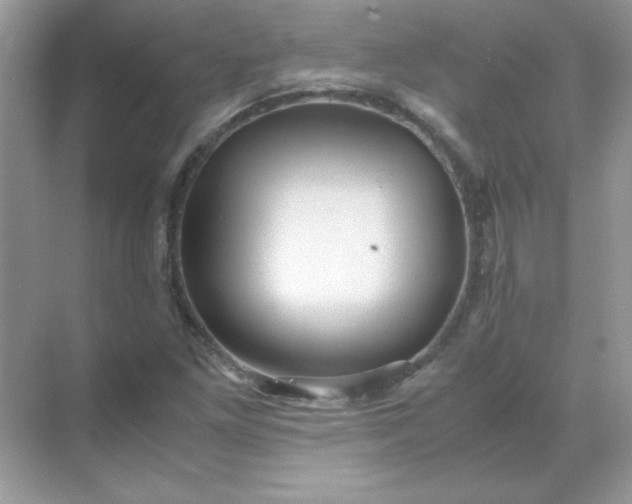 X0000071901261200607212007