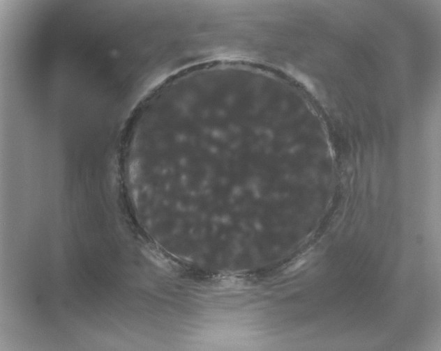 X0000071901263200607212007