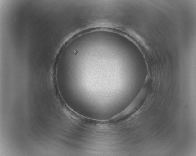 X0000071901264200607212007