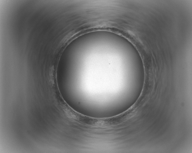 X0000071901265200607212007