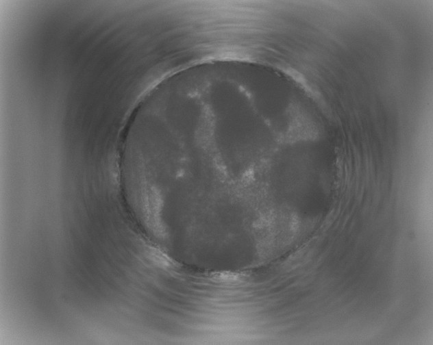 X0000071901266200607212007