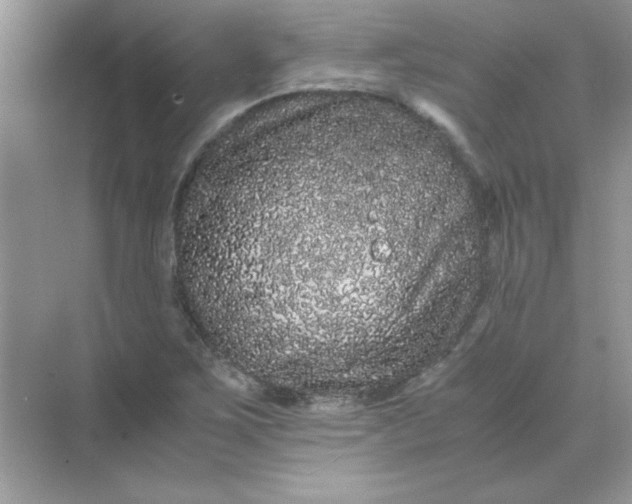 X0000071901267200607212007