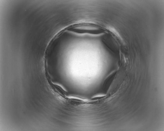 X0000071901268200607212007