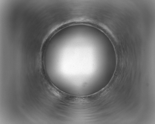 X0000071901270200607212007