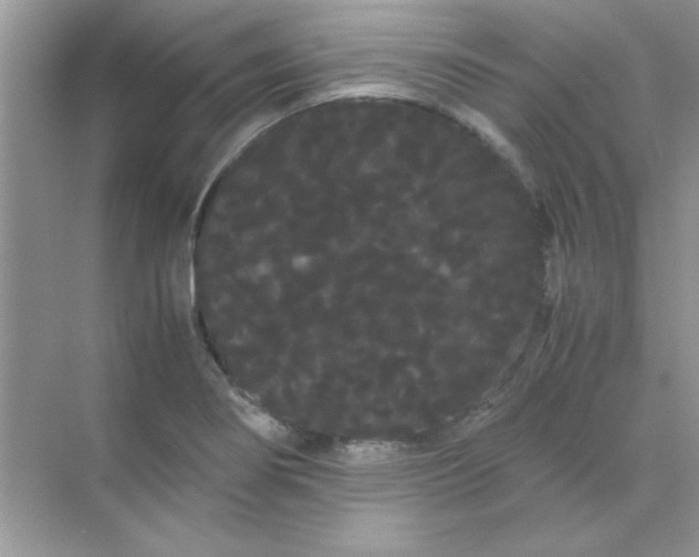 X0000071901274200607212007