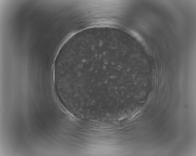 X0000071901275200607212007