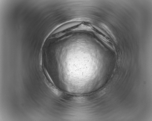 X0000071901276200607212007