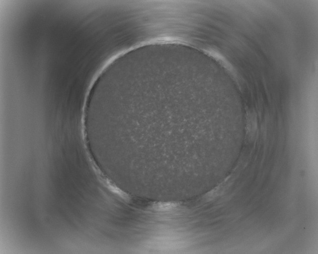 X0000071901278200607212007