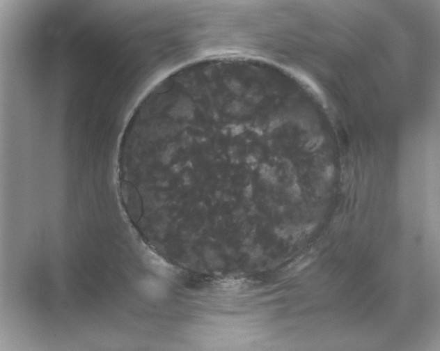 X0000071901279200607212007