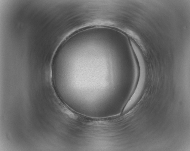 X0000071901280200607212007