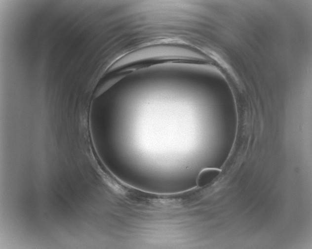 X0000071901281200607212007