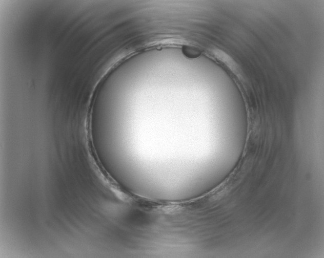 X0000071901282200607212007