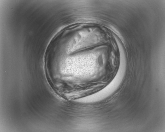 X0000071901283200607212007