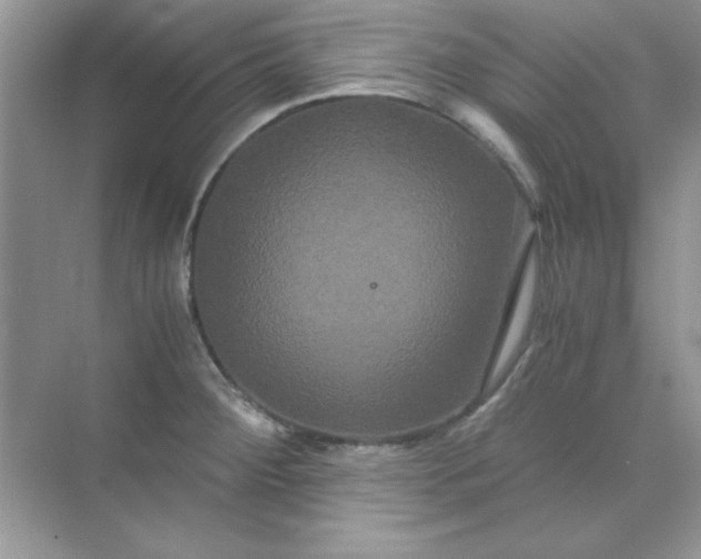 X0000071901284200607212007