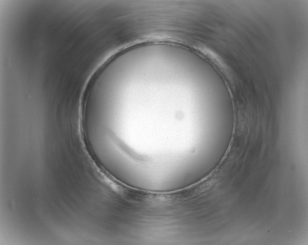 X0000071901286200607212007