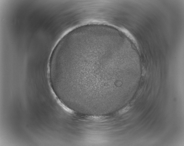 X0000071901287200607212007