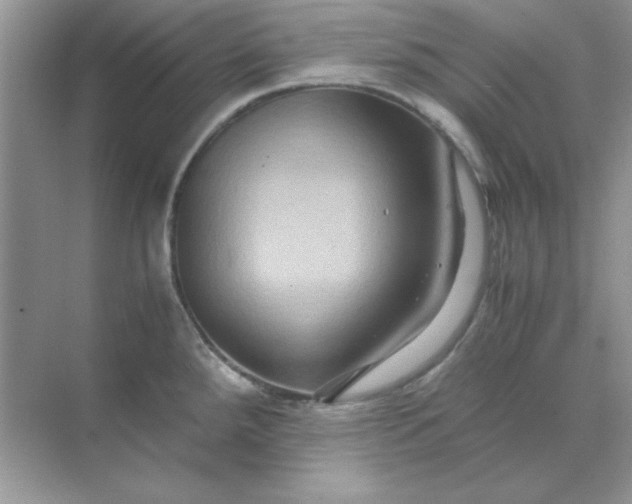 X0000071901288200607212007