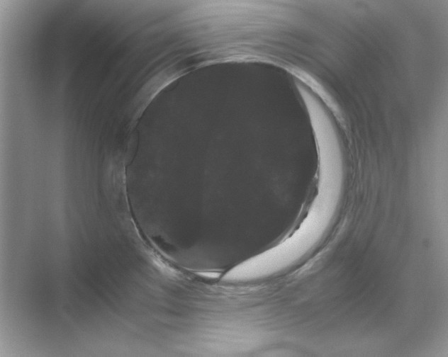 X0000071901289200607212007