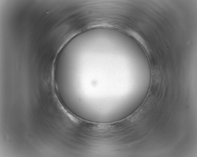 X0000071901290200607212007