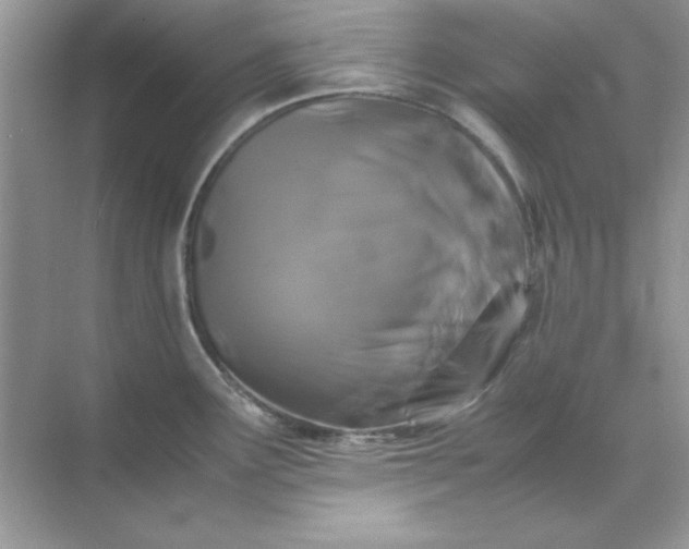 X0000071901291200607212007