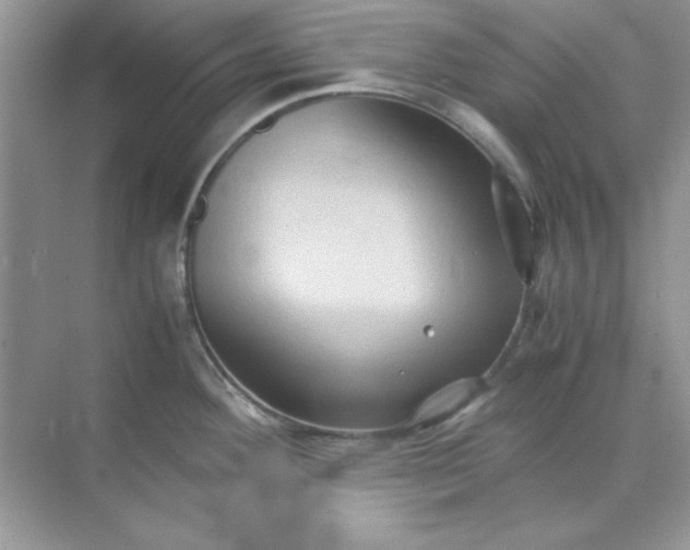 X0000071901292200607212006