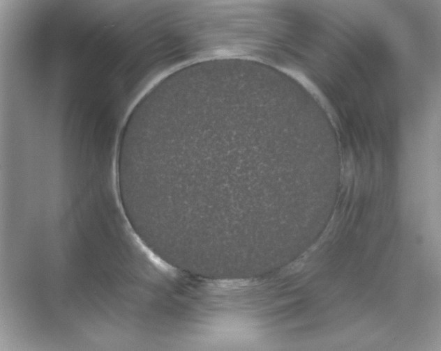 X0000071901294200607212006