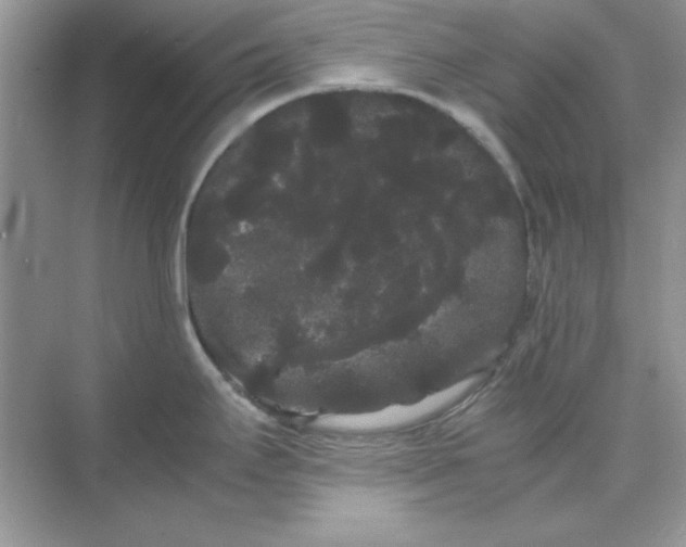 X0000071901295200607212006